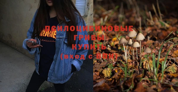 прущий лед Бугульма