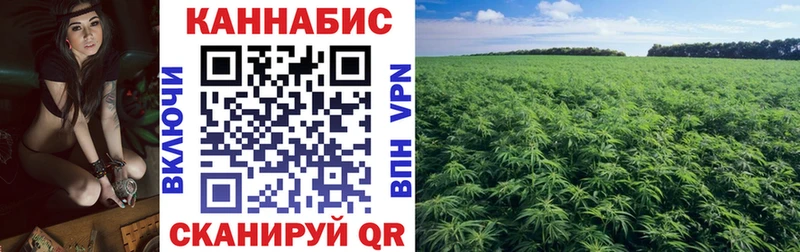 Купить закладки  Нижнеудинск  Конопля THC 21% 